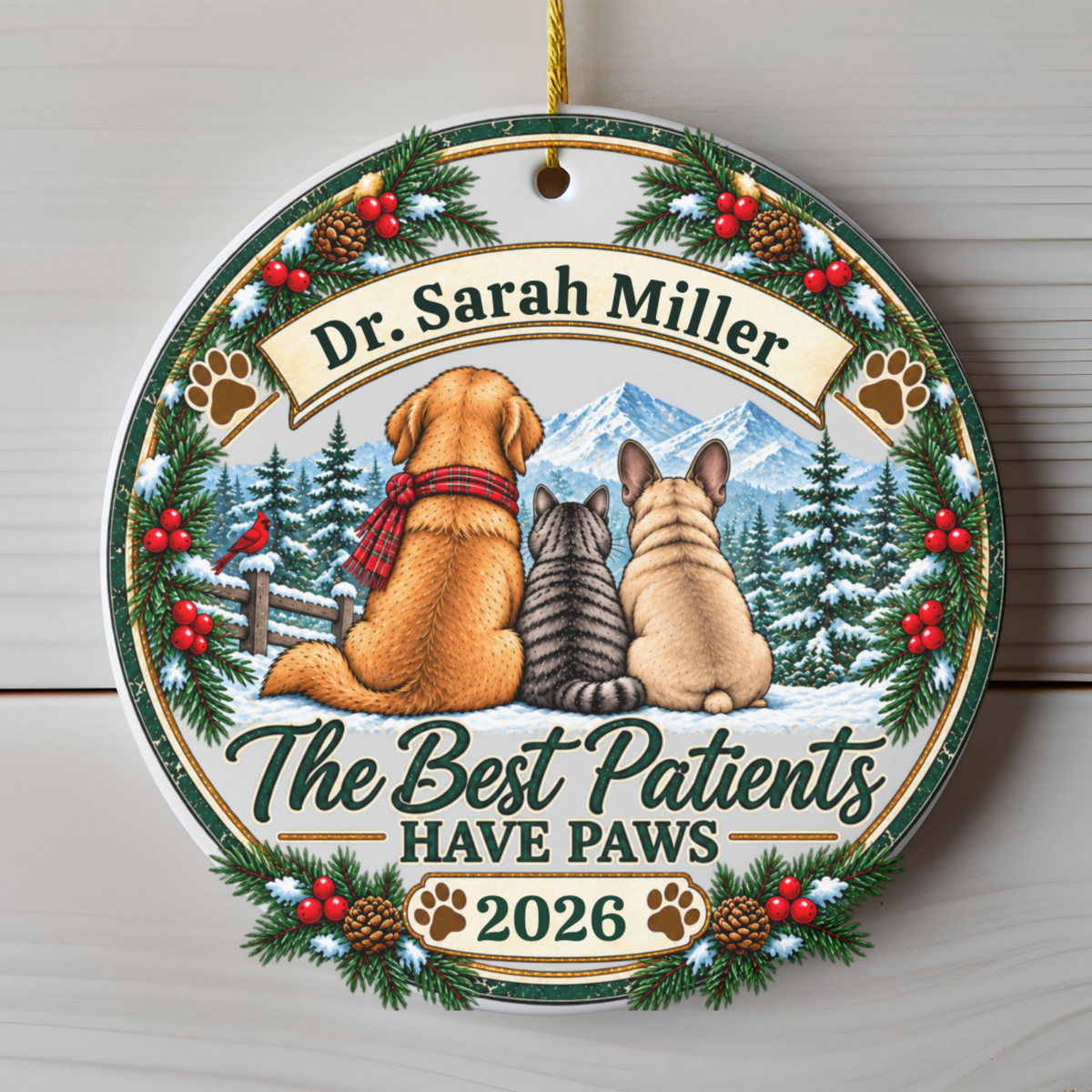 Personalized Veterinarian Ornament, Vet Christmas Gift, Best Vet Gift, Custom Pet Doctor Ornament