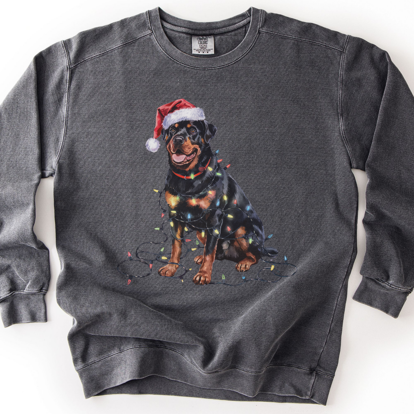 Rottweiler Christmas Lights Sweatshirt, Festive Dog Mom Sweater