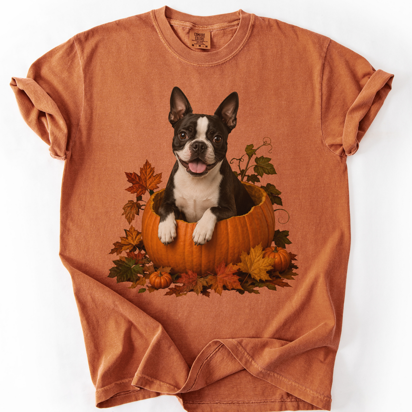Boston Terrier Pumpkin Shirt, Cute Fall Dog Lover Tee on Comfort Colors