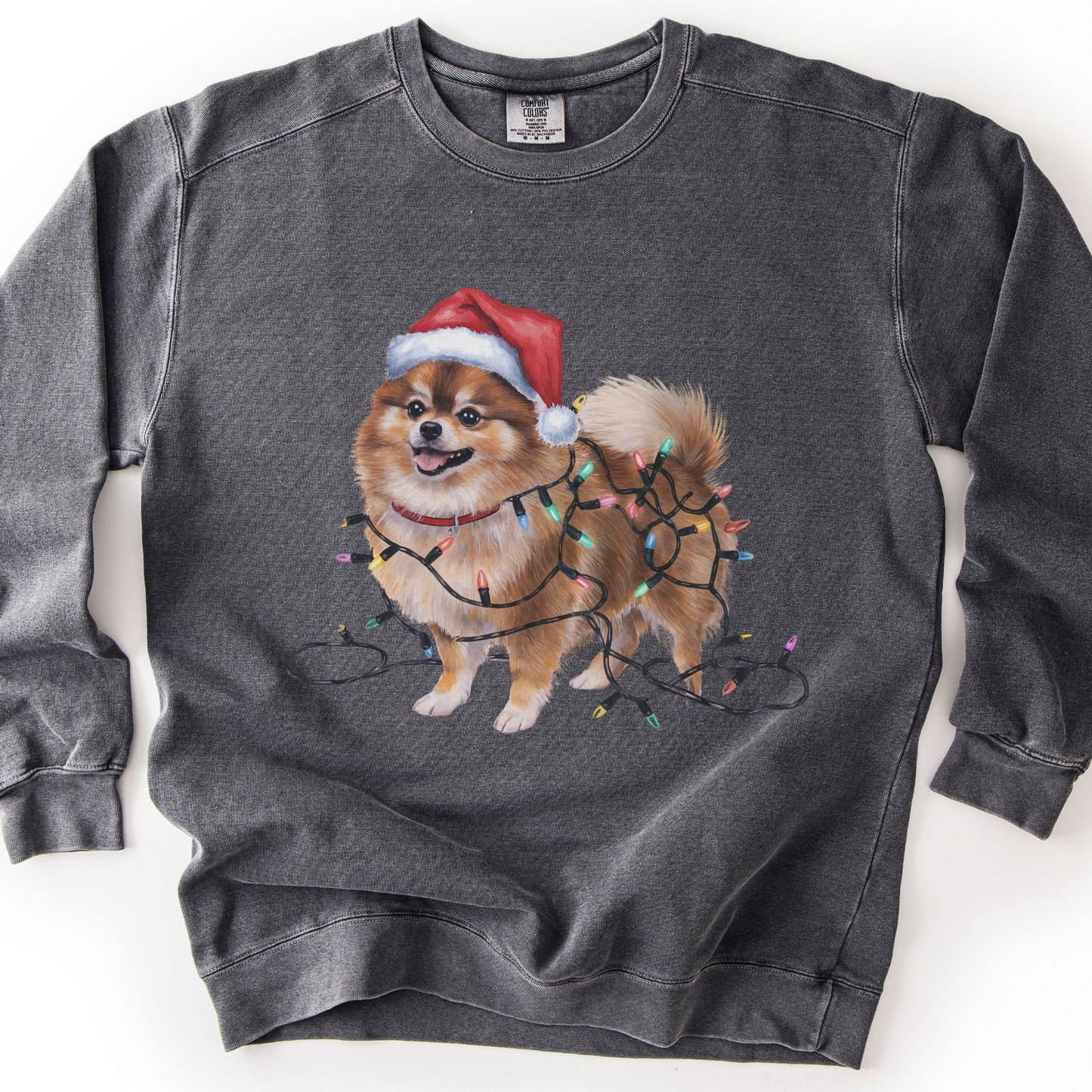 Pomeranian Christmas Lights Sweatshirt, Festive Dog Mom Sweater