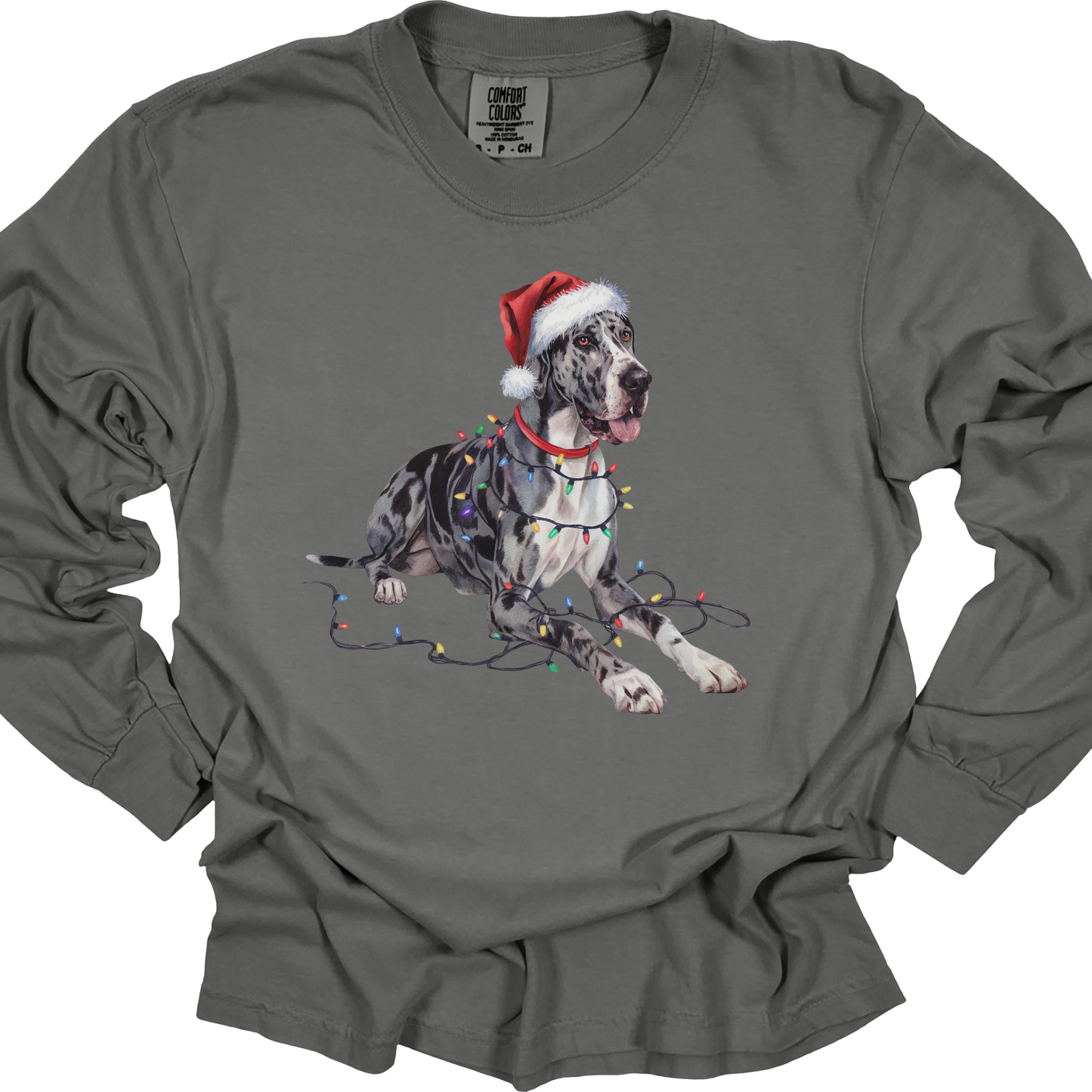 Great Dane Christmas Lights Long Sleeve Shirt, Dog Lover Holiday Top