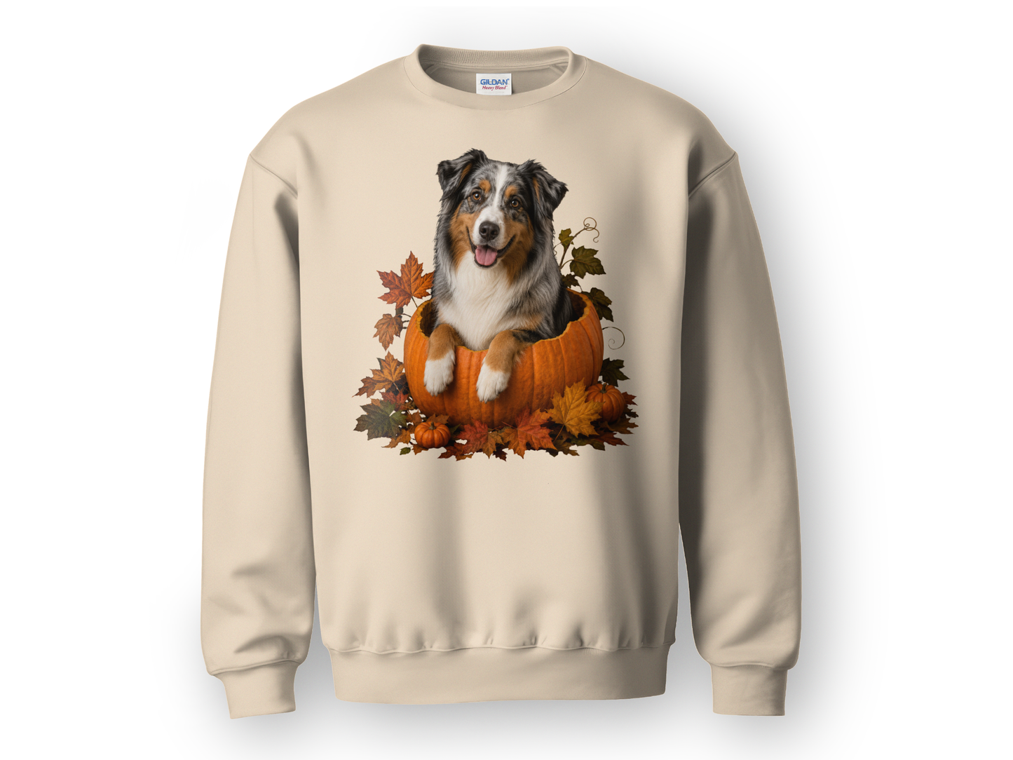 Australian Shepherd Pumpkin Sweatshirt Fall Dog Lover Autumn Puppy Crewneck Cozy Gift Pullover Apparel