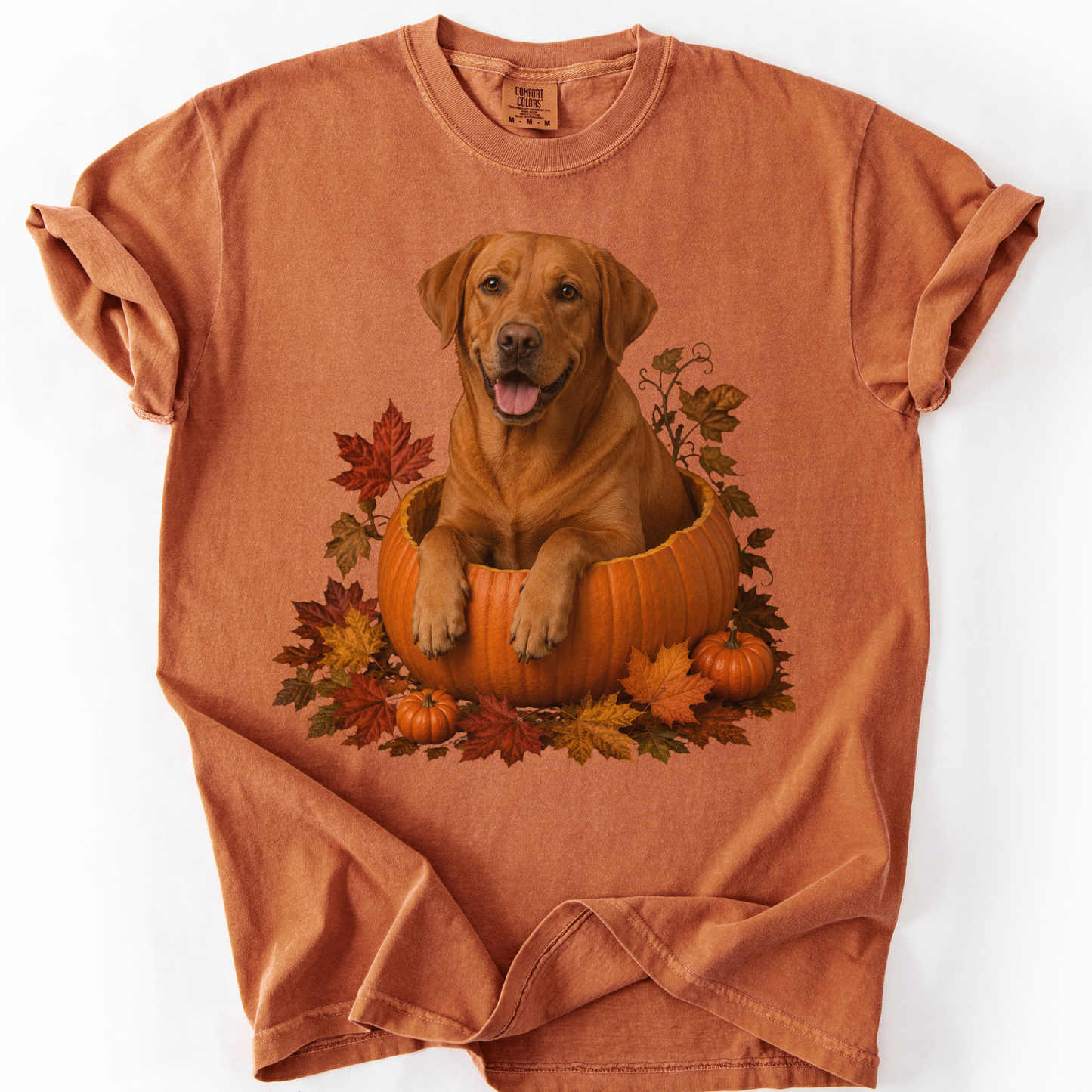 Fox Red Lab Pumpkin Shirt Fall Dog Lover Autumn Labrador Comfort Colors Tee Gift Apparel