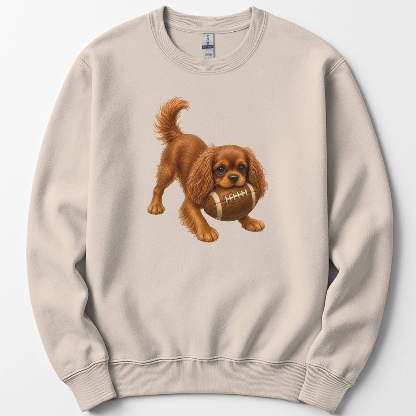 Ruby Cavalier Football Sweatshirt Cute Dog Lover Game Day Crewneck Cavalier Mom Gift