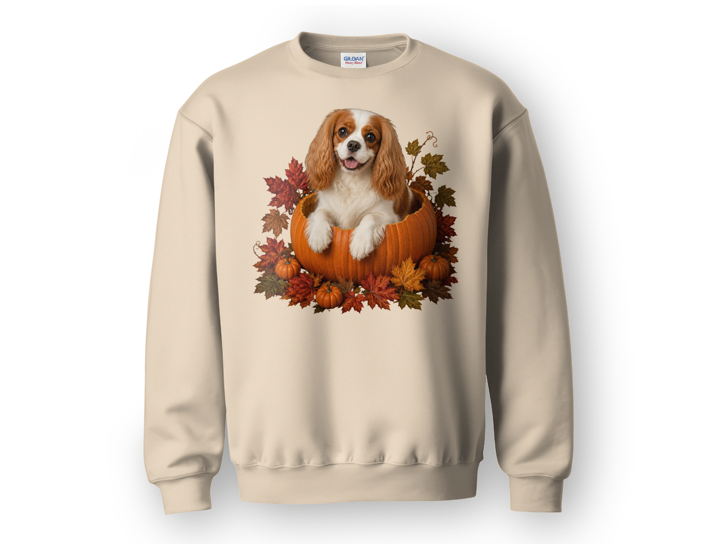 Blenheim Cavalier Pumpkin Sweatshirt Fall Dog Lover Autumn Puppy Crewneck Cozy Gift Pullover Apparel