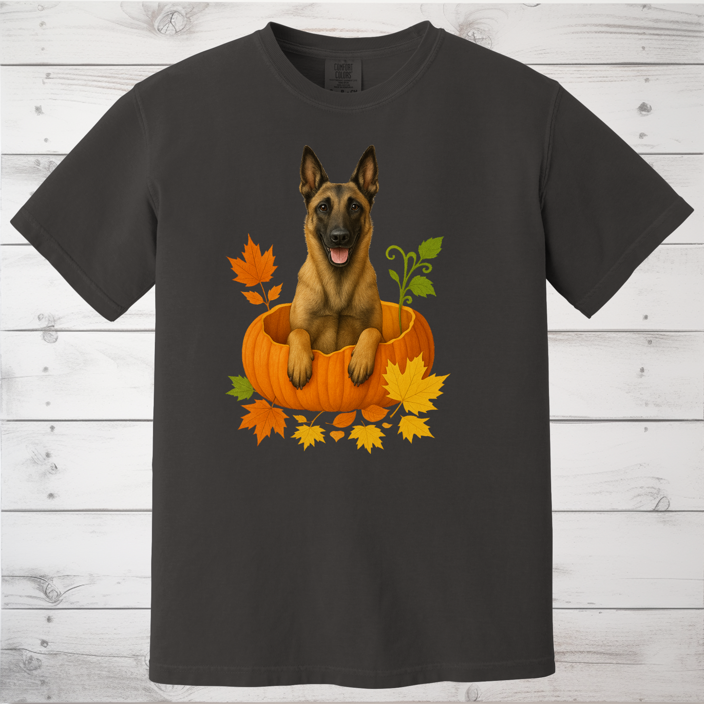 Belgian Malinois in Pumpkin Fall Shirt