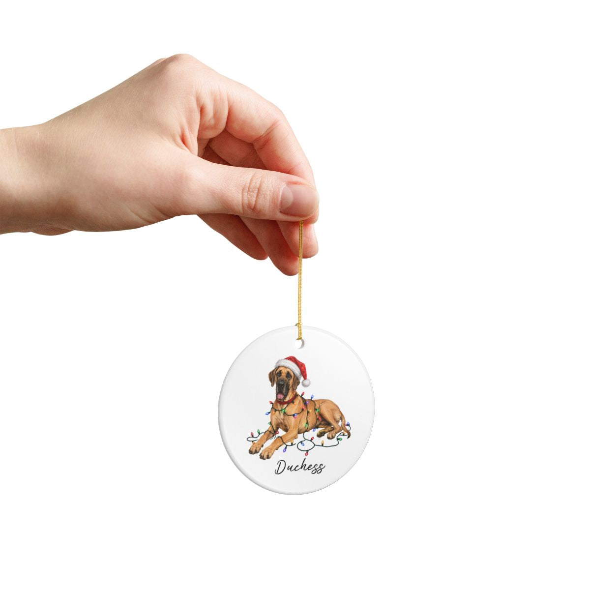 Personalized Fawn Great Dane Christmas Ornament, Festive Dog Keepsake
