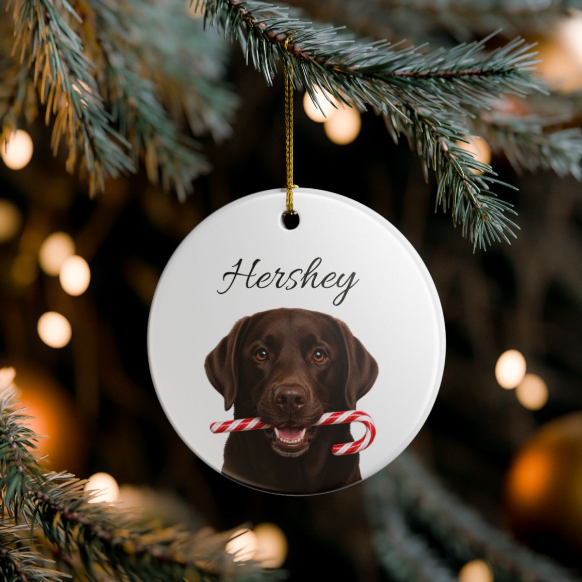 Personalized Chocolate Lab Candy Cane Ornament