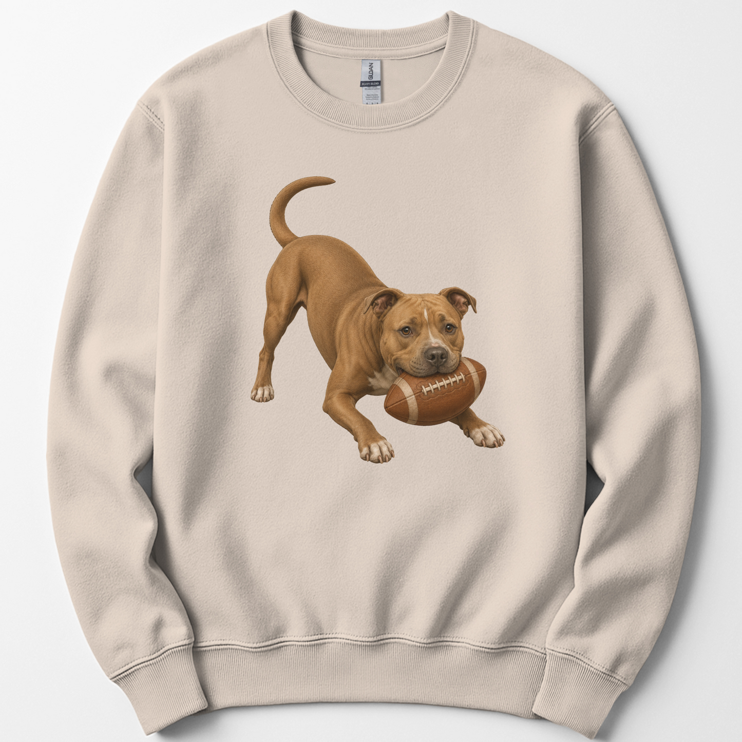 Pitbull Football Sweatshirt Dog Lover Game Day Crewneck Pittie Mom Gift Shirt