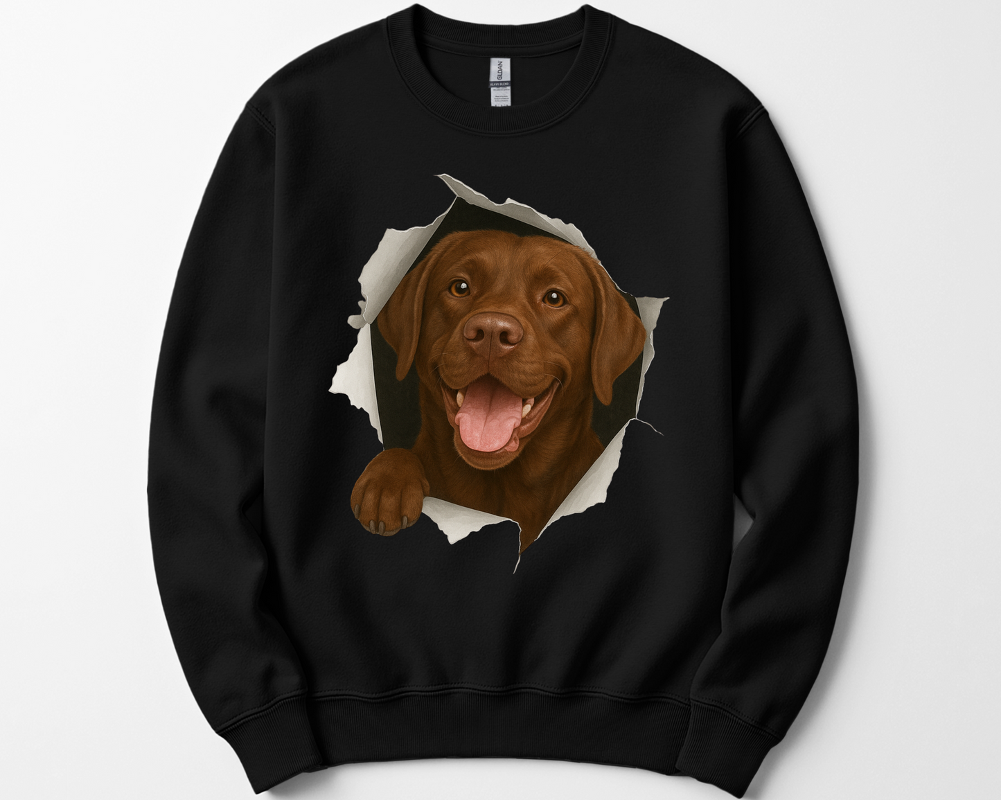 Peeking Chocolate Lab Sweatshirt – Funny Dog Lover Gift, Cute Labrador Crewneck for Pet Owners, Lab Mom & Dad Shirt