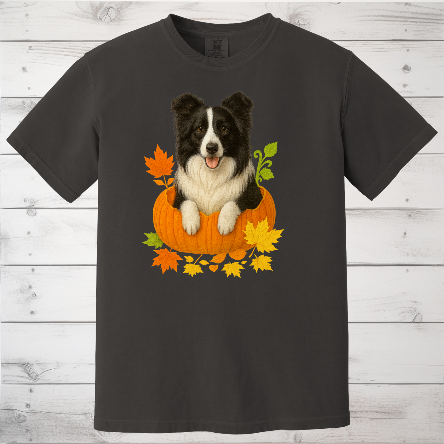 Border Collie in Pumpkin Fall Shirt