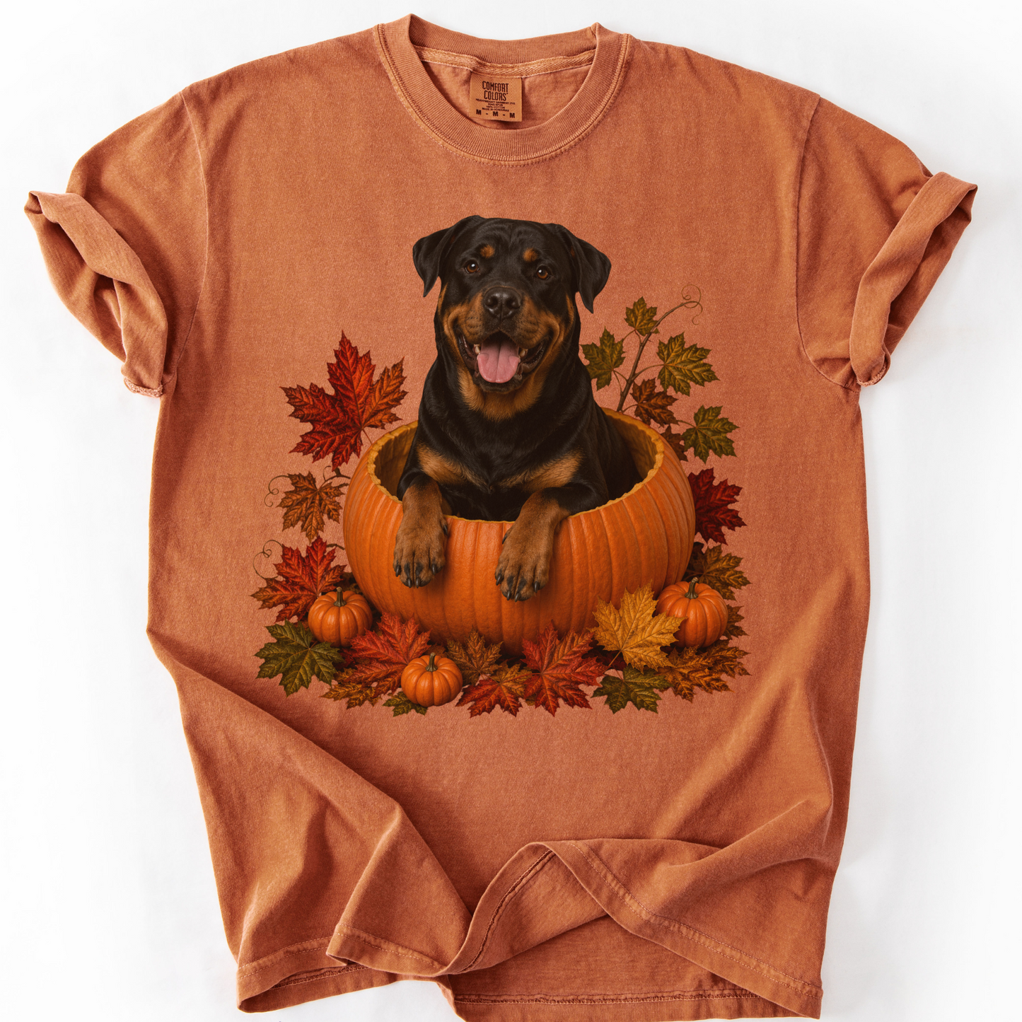 Rottweiler Pumpkin Fall T-Shirt, Cute Autumn Dog Lover Tee & Thanksgiving Gift