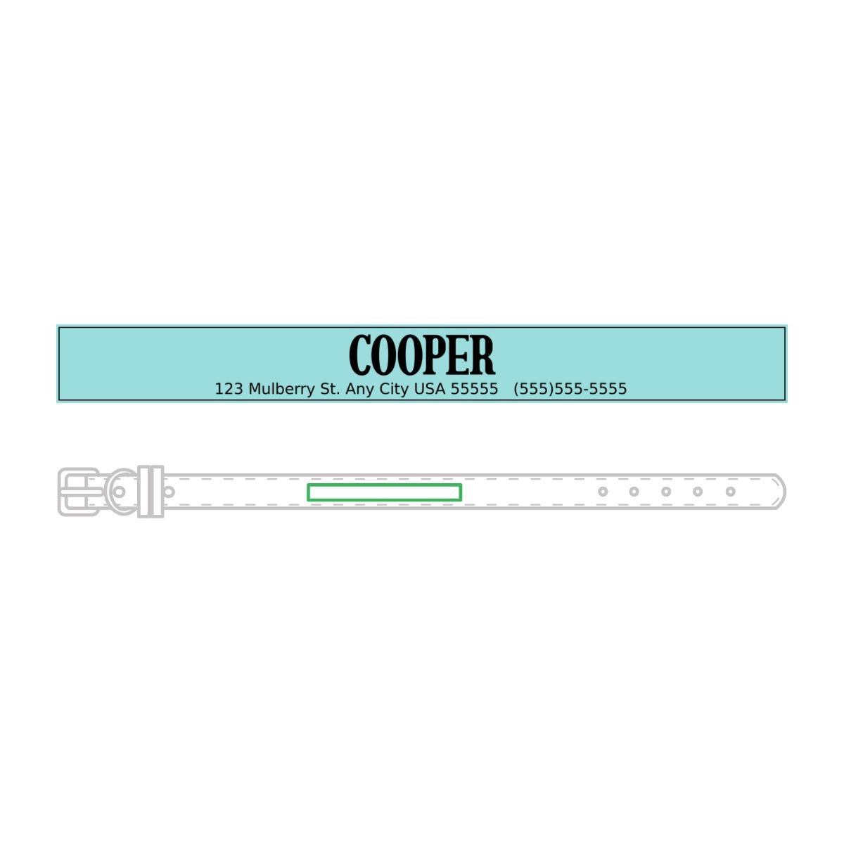 Leather Pet Collar (Engraving)