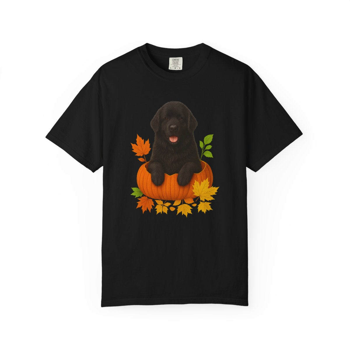 Black Newfoundland Pumpkin Shirt, Fall Dog Lover Tee on Comfort Colors 1717
