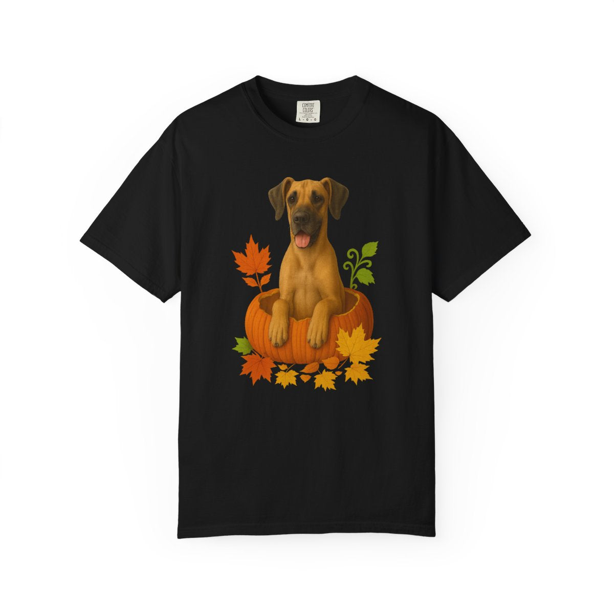 Great Dane Pumpkin Shirt, Fall Dog Lover Tee on Comfort Colors 1717