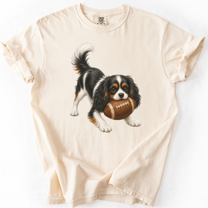 Tricolor Cavalier Football Shirt