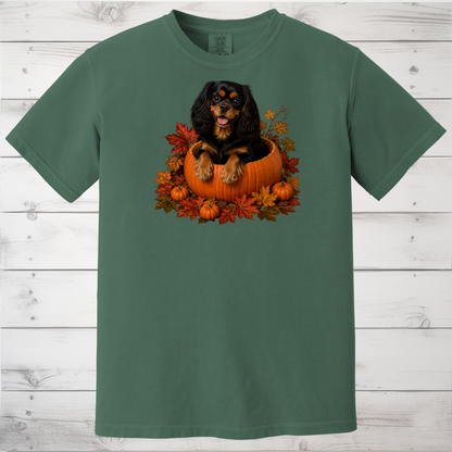 Black and Tan Cavalier Pumpkin Shirt