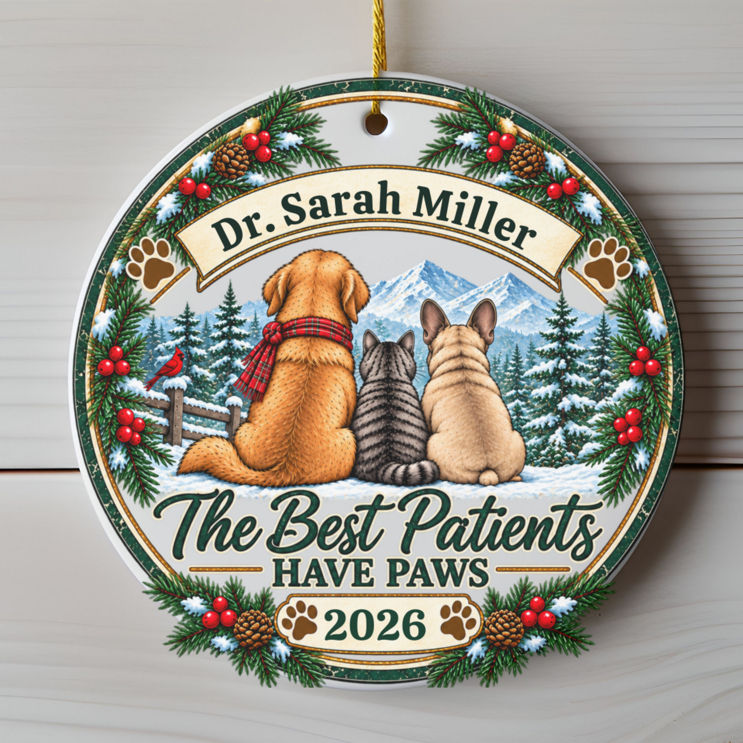 Personalized Veterinarian Ornament, Vet Christmas Gift, Best Vet Gift, Custom Pet Doctor Ornament