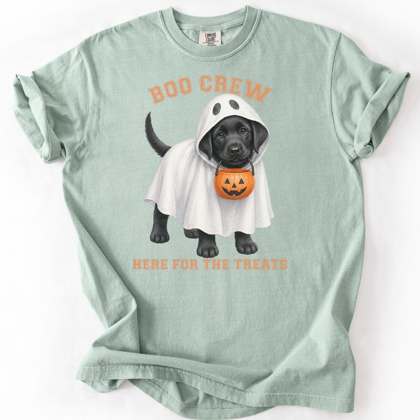 Black Lab Boo Crew Halloween Shirt, Here for the Treats Dog Mom Tee
