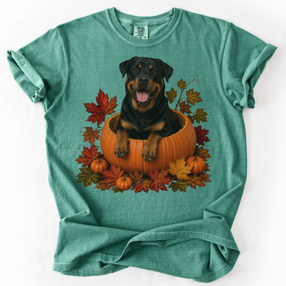 Rottweiler Pumpkin Fall T-Shirt, Cute Autumn Dog Lover Tee & Thanksgiving Gift
