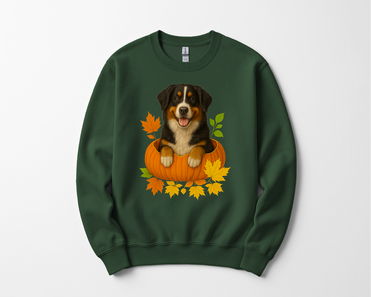 Bernese Mountain Dog Pumpkin Shirt