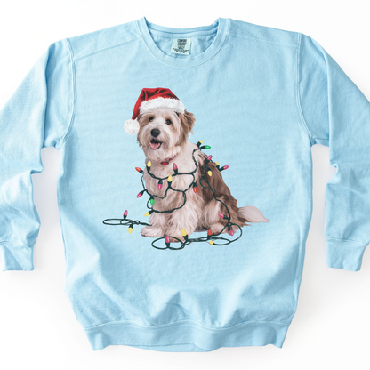 Coton De Tulear Christmas Lights Dog Sweatshirt