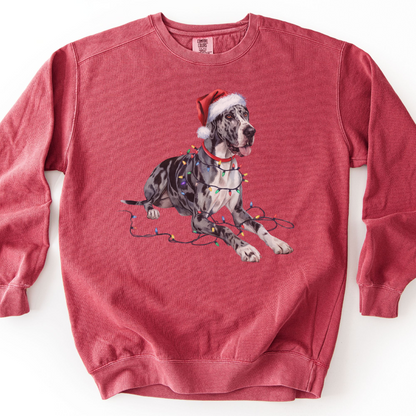 Great Dane Christmas Lights Sweatshirt