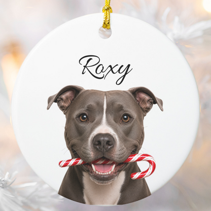 Personalized Pitbull Candy Cane Ornament