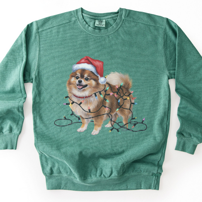 Pomeranian Christmas Lights Sweatshirt, Festive Dog Mom Sweater
