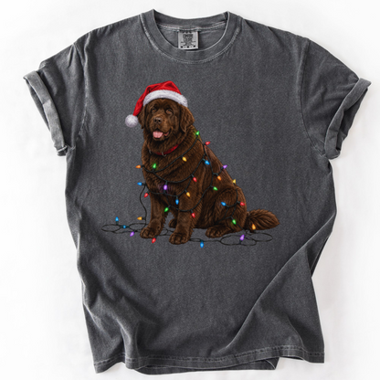 Chocolate Newfoundland Christmas Lights Shirt, Festive Holiday Tee for Newfie Lovers
