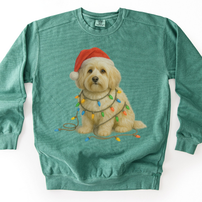 Havanese Christmas Lights Sweatshirt