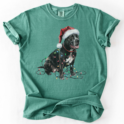 Christmas Cane Corso Shirt, Christmas Lights Dog Shirt, Christmas Dog, Cane Corso Mom Shirt, Gift for Dog Lover, Cane Corso