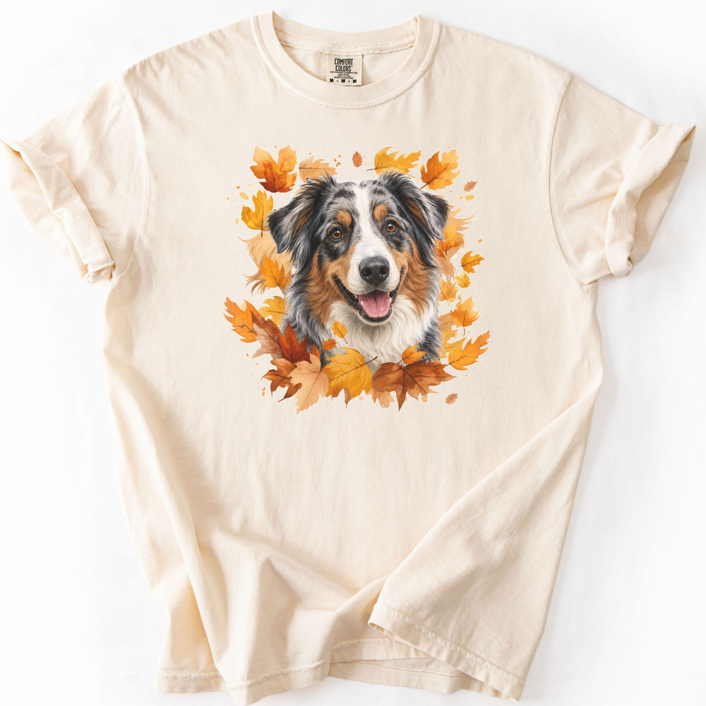 Australian Shepherd Autumn Sweatshirt, Cozy Fall Dog Sweater, Dog Lover Apparel, Cute Autumn Dog Tee, Gift for Dog Lovers
