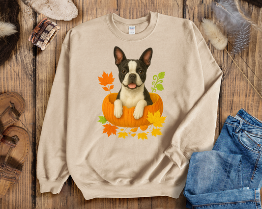 Boston Terrier Pumpkin Shirt