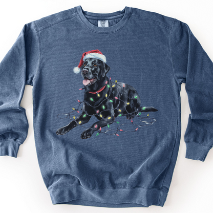 Black Lab Christmas Lights Sweatshirt