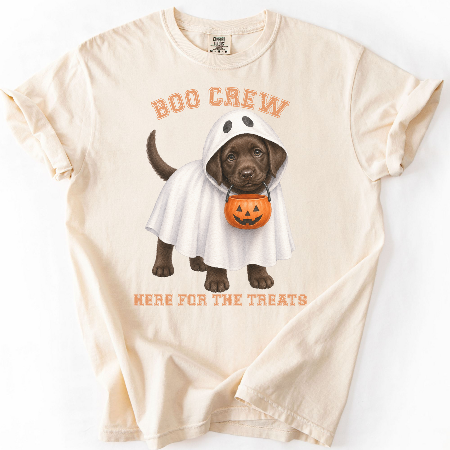 Chocolate Lab Boo Crew Halloween Shirt, Here for the Treats Dog Mom Tee