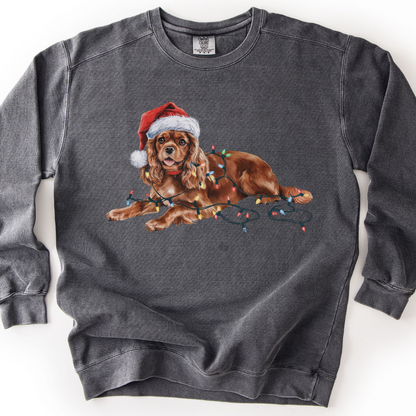 Ruby Cavalier Christmas Lights Sweatshirt