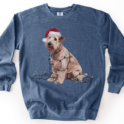 Soft Coated Wheaten Terrier Christmas Lights Sweatshirt, Festive Dog Mom Apparel