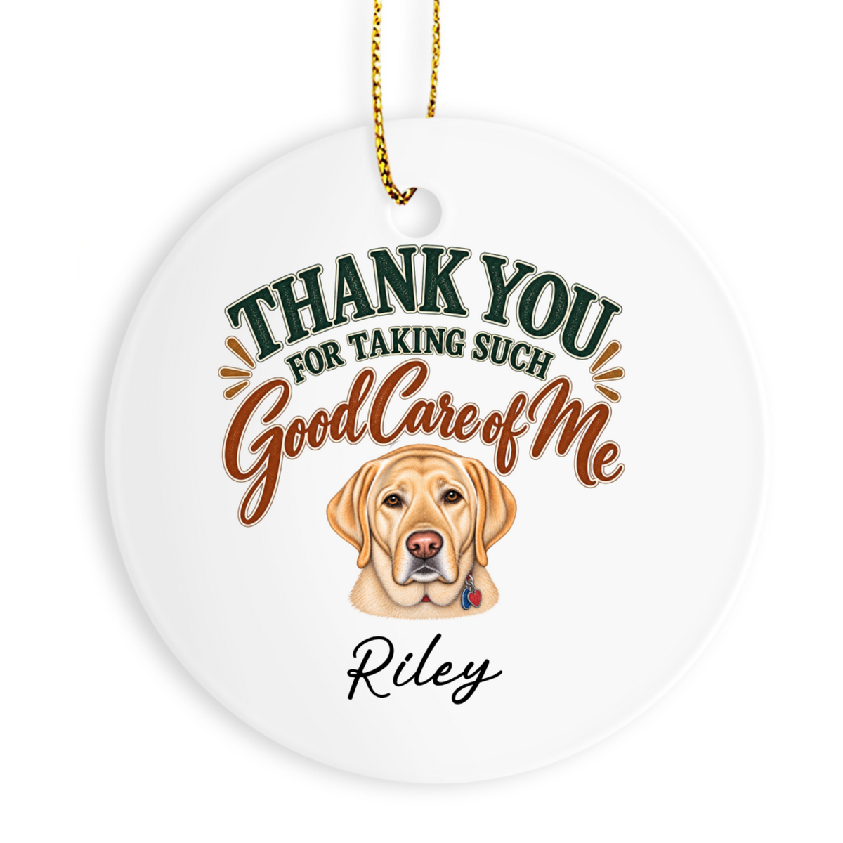 Personalized Veterinarian Ornament, Thank You Vet Gift From Dog, Custom Pet Name Keepsake