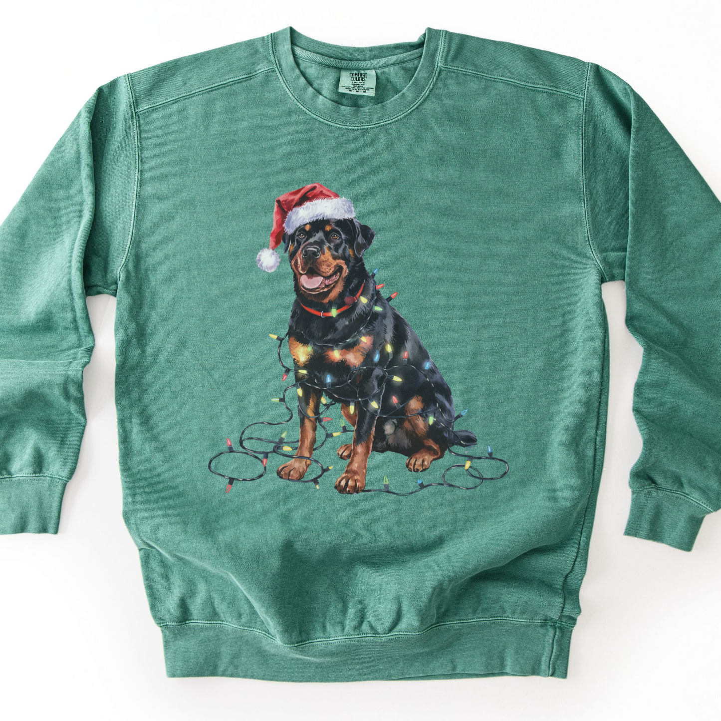 Rottweiler Christmas Lights Sweatshirt, Festive Dog Mom Sweater