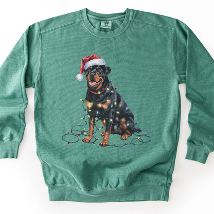 Rottweiler Christmas Lights Sweatshirt, Festive Dog Mom Sweater