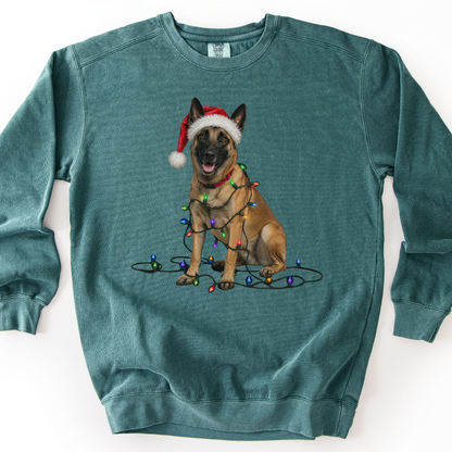 Belgian Malinois Christmas Lights Sweatshirt