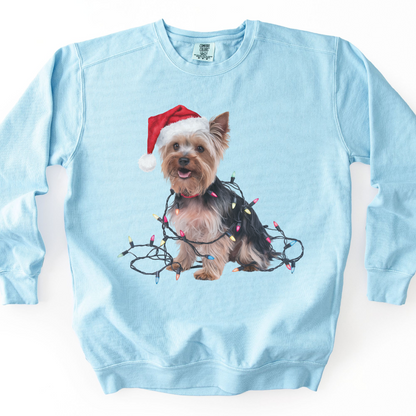 Christmas Yorkshire Terrier Sweatshirt, Festive Dog Lights, Yorkie Mom Holiday Apparel