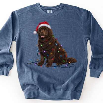 Chocolate Newfoundland Christmas Lights Dog Sweatshirt, Festive Newfie Mom Gift