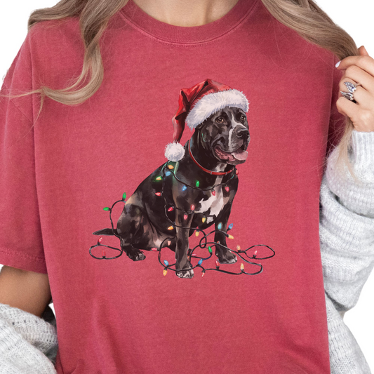 Christmas Cane Corso Shirt, Christmas Lights Dog Shirt, Christmas Dog, Cane Corso Mom Shirt, Gift for Dog Lover, Cane Corso