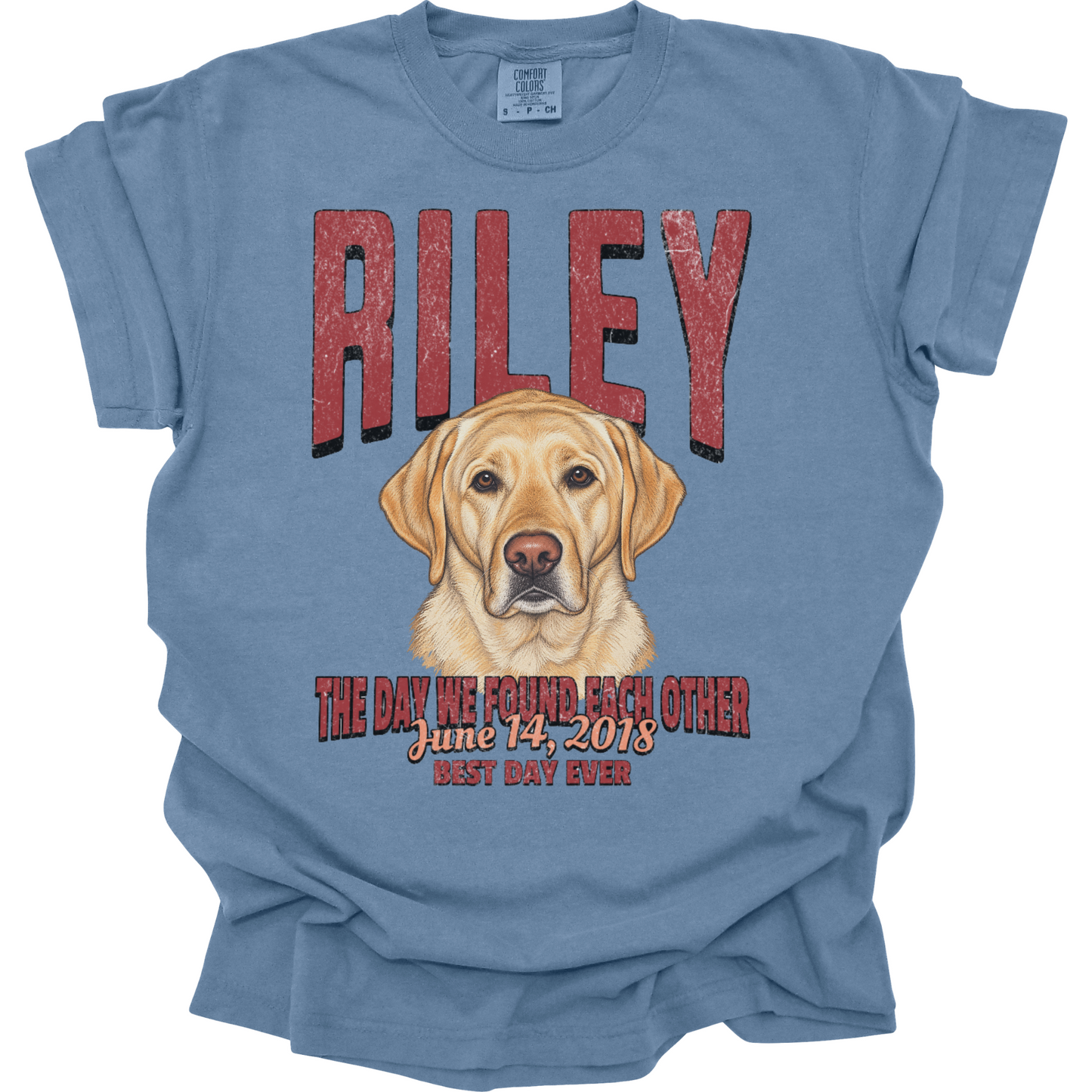 Personalized Gotcha Day Shirt, Custom Pet Portrait Tee, Dog Adoption Anniversary Gift