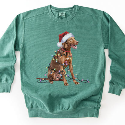 Christmas Vizsla Sweatshirt, Lights Dog Sweater, Vizsla Mom Apparel, Dog Lover Gift