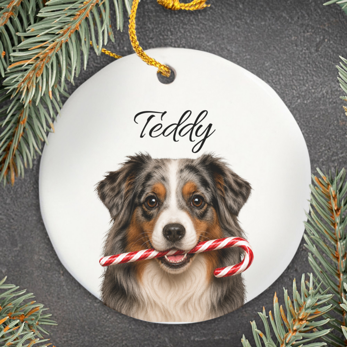 Personalized Australian Shepherd Candy Cane Ornament