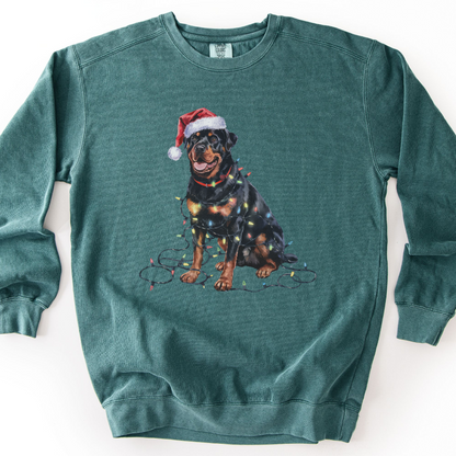 Rottweiler Christmas Lights Sweatshirt, Festive Dog Mom Sweater
