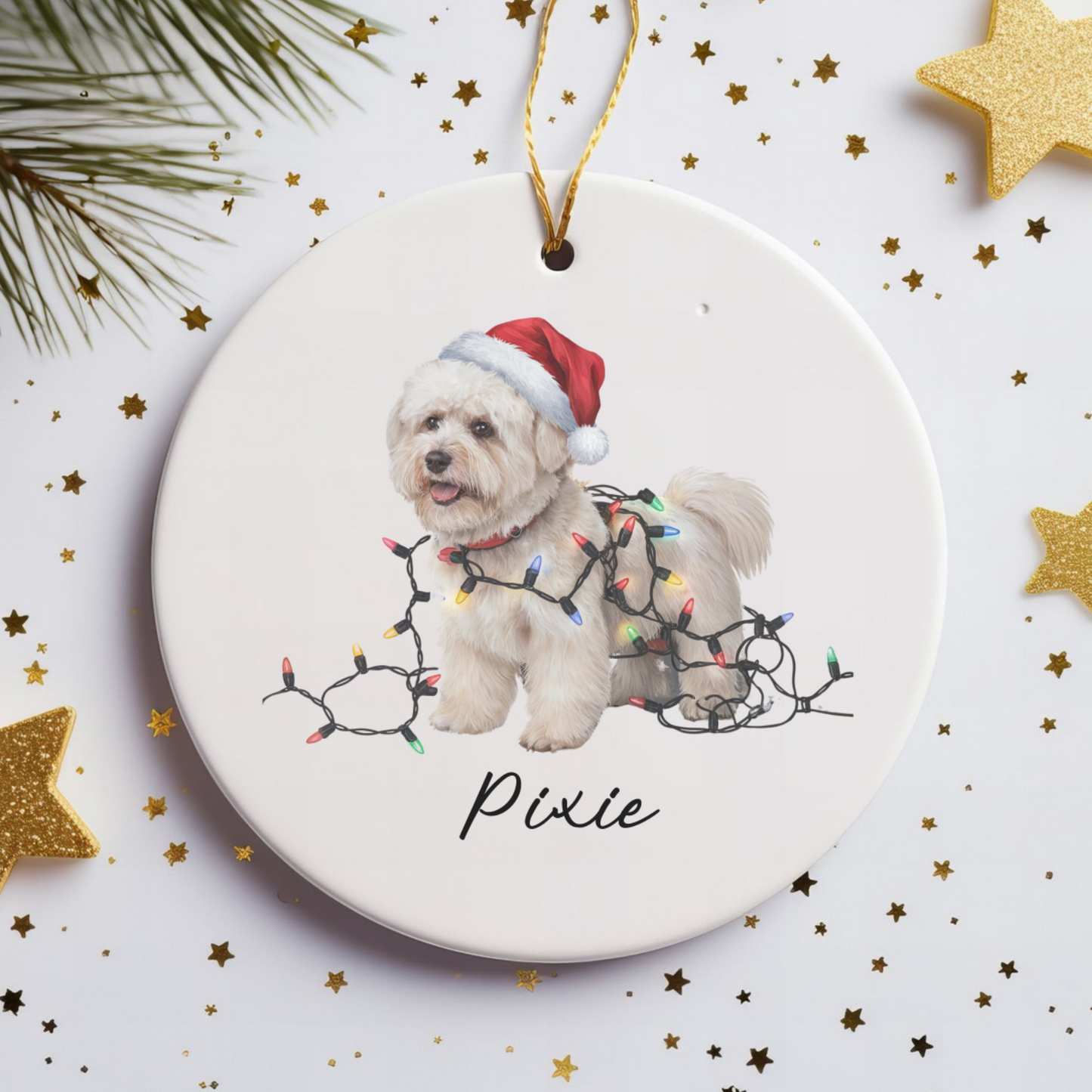 Personalized Bichon Frise Christmas Ornament, Ceramic Dog Santa Hat Lights Decoration